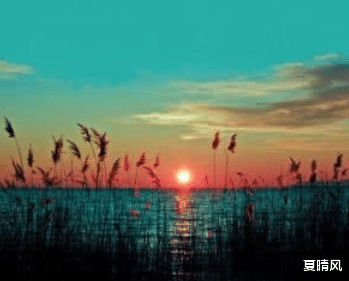 夏晴风|成年人最好的自律:慎交友,多读书,少妄言