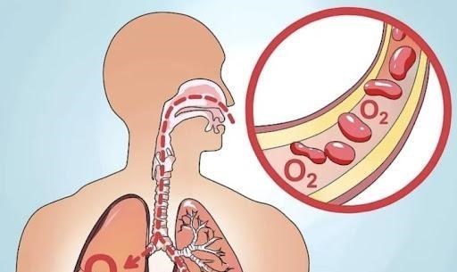 塔克拉玛干沙漠 若是把所有沙漠都变成森林会怎么样？科学家：代价恐怕难以承受