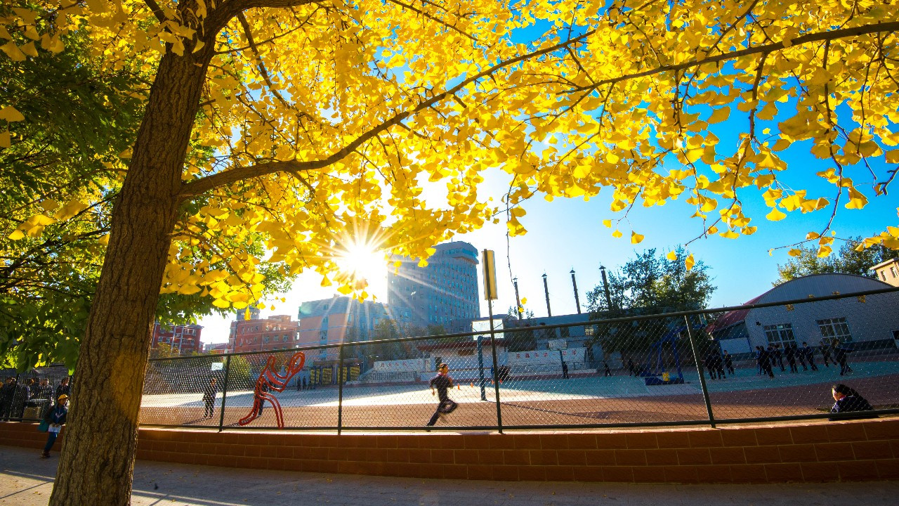 古生物学 浅论古生物学与儿童科学教育，帮助孩子树立正确价值观