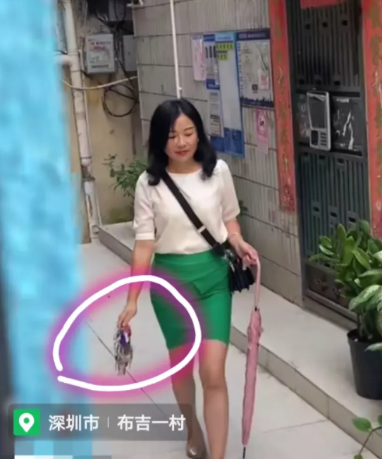 深圳市|深圳布吉拥有23栋出租房的包租婆，长啥样？