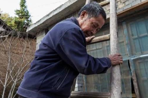 西门庆|儿子19年没联系，妻子称他在外打工，父母不知他一直“躺在”后院