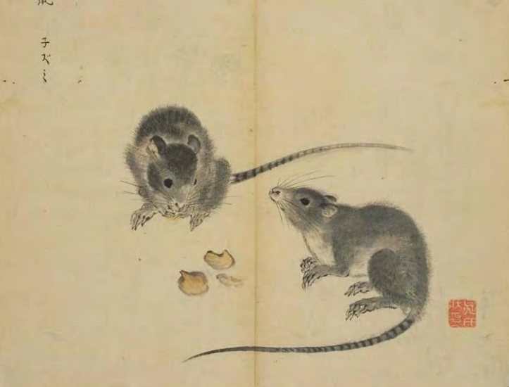 慈禧太后|历史上有名的6句“脏话”,骂人不带脏字,还可能以为是在夸人