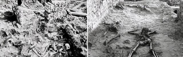 巨蟒 四千年前古印度死丘爆炸原因水落石出?科学家找到新解,近似核爆