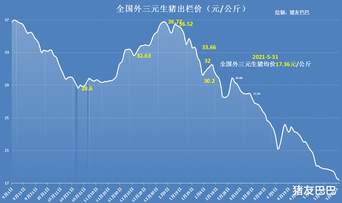 生猪价格 5月31日猪价:跌跌不休!本月猪价下跌21.45%,行情呈现筑底之势