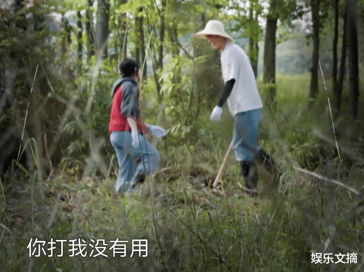 张子枫|黄磊要把梁靖康打成一米六，张子枫急得跳脚，彭彭的反应太真实了