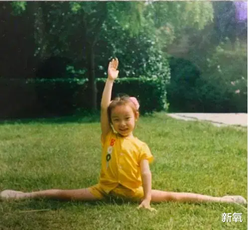 杨幂|杨幂看不上的佟丽娅当宝？有个脑残的爹盛世美颜也被当成破抹布！