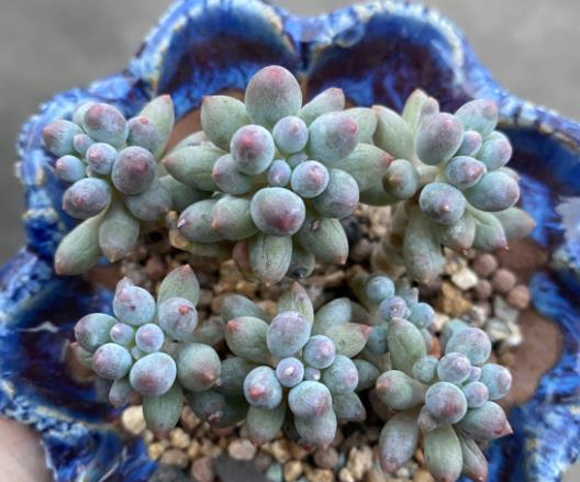 植萌|都说婴儿手指不好度夏,在包邮区度夏也不是特别难