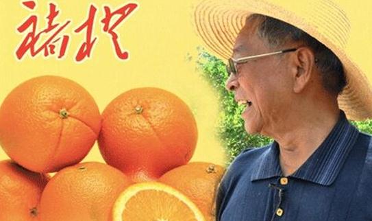 曾为国家创税990亿,被判无期,74岁老人出狱后继续创造神话