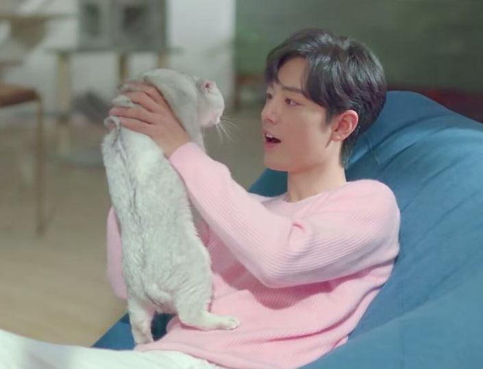 肖战|肖战新剧角色曝光，搭档实力派演员苗苗，明年一月开机