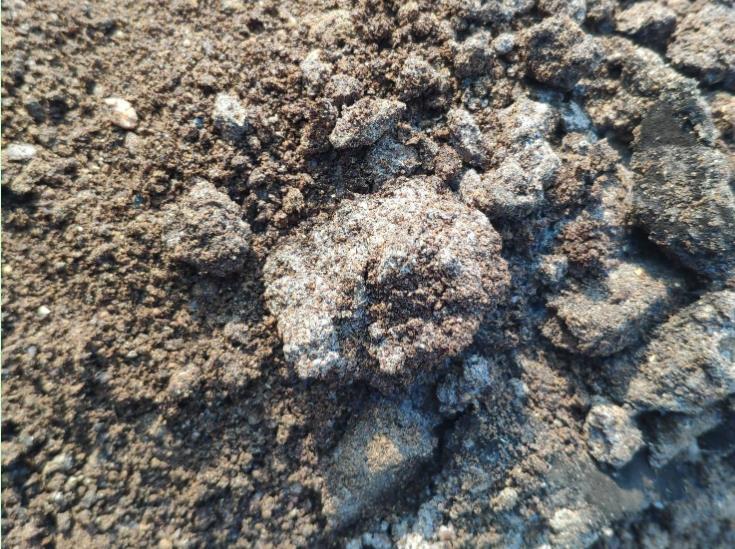 农业小助手 一公斤矿源黄腐酸钾相当于8吨有机肥？忽悠团吹牛，说法不靠谱