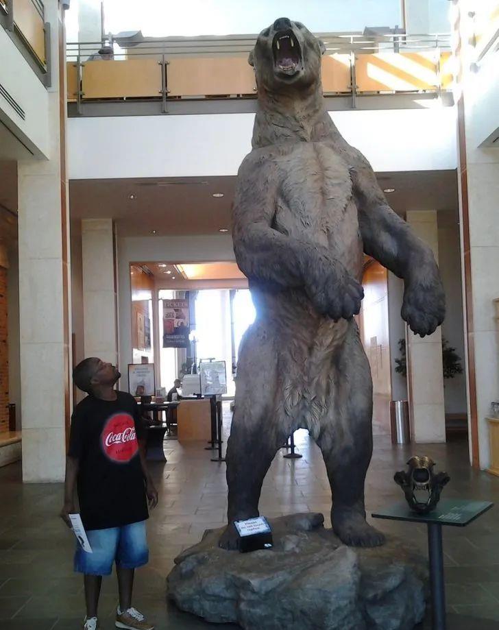  15个尺寸巨大的真实事物，最后那把小提琴能演奏吗？