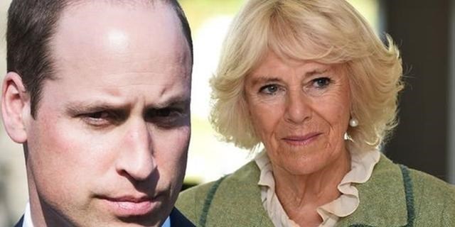 威廉王子|威廉哈里和卡米拉关系好不好？威廉开始不愿见她，哈里公开支持她