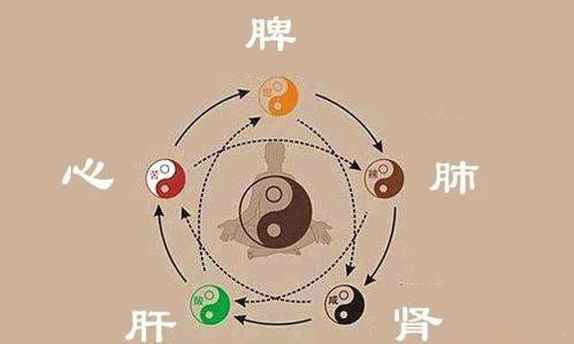 深度养生知识 《黄帝内经》里说的“生长化收藏”，我们该如何理解？