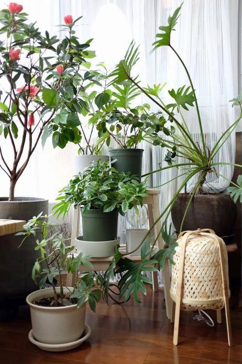 曼亭鸟门窗|没有阳台的房子,看看他们是怎么设计的