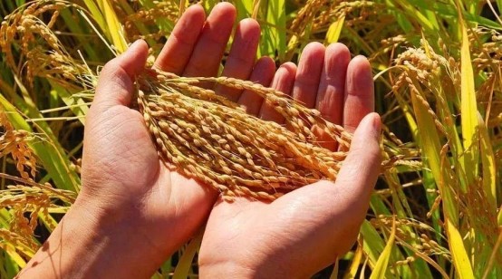 原油 全球通胀之下，老百姓要“捂紧”钱袋子？“这些”已经全线涨价