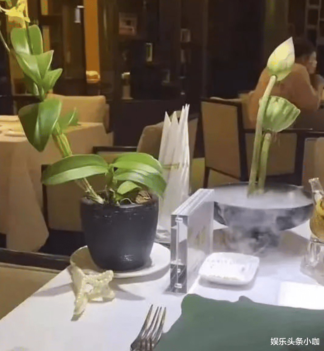 佛系|顶级名媛被封杀？打擦边球还圈钱！