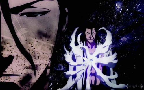 死神|死神：蓝染在千年血战会有卍解吗，如果有，他的卍解能力是什么