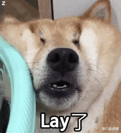 施伯雄|她是豪门狙击手还是被黑的“捞女”？悄悄攒起的上流闺蜜圈，不明觉厉