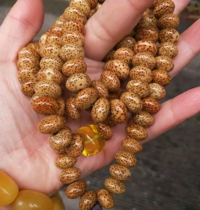 琥珀|星月琥珀供？够奢侈