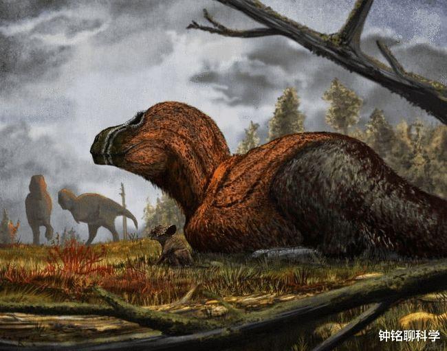 科学家 长颈鹿或将消失！超3.8万物种面临灭绝，第6次生物大灭绝正在发生