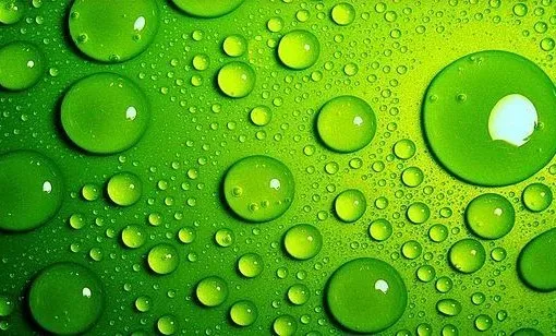 蜜蜂 经常吸氢气有什么好处?