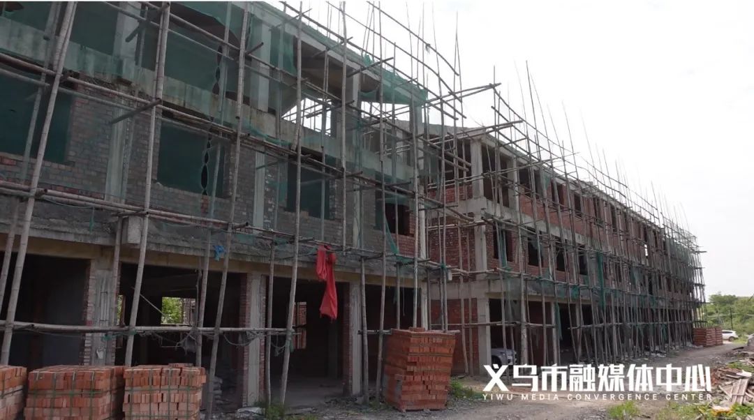 义乌快报 预计每年增收百万元！义乌这个村打造特色产业