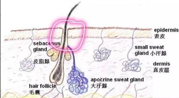 护肤品|真正懂成分的人，会买什么护肤品？