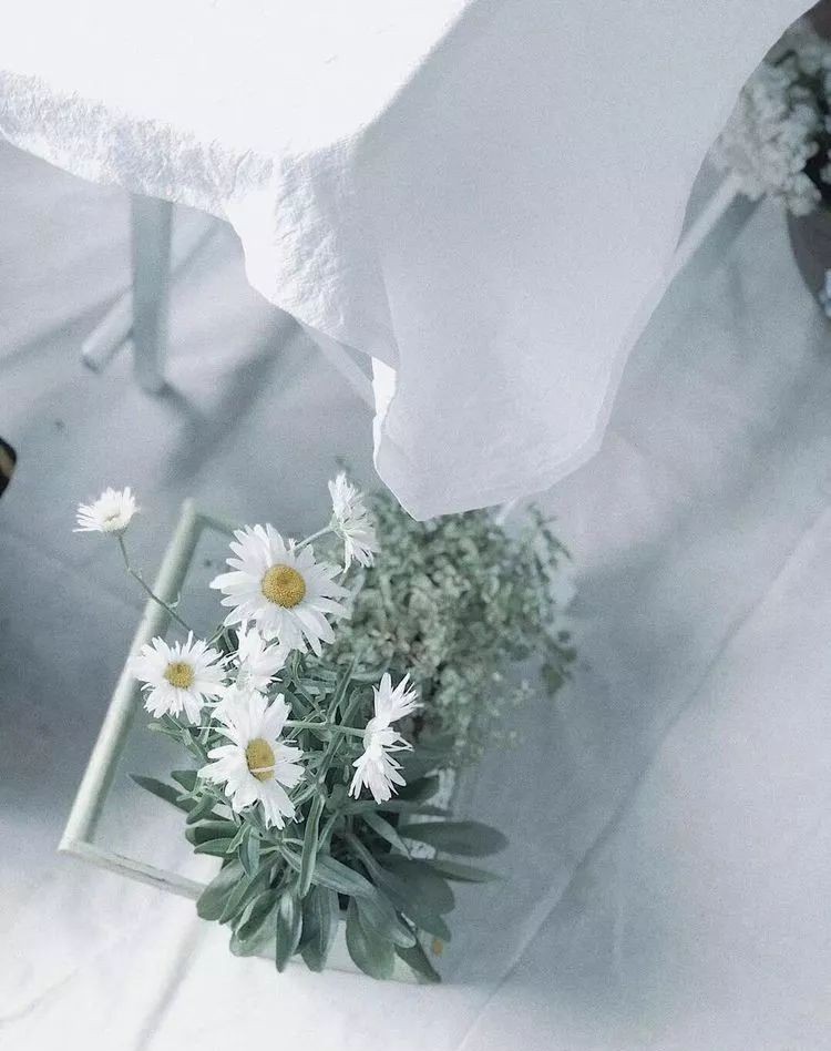 |3㎡的阳台能干嘛？这个宿舍小阳台花园或许会惊艳到你，看看吧！