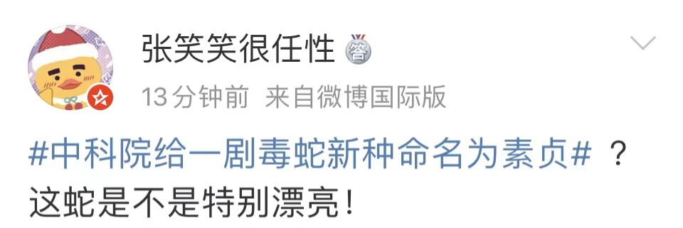 芒果帮女郎 是你吗？白娘子！