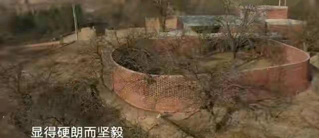 杨浦|要花132万元，改造的红砖毛坯房！被央视点名！