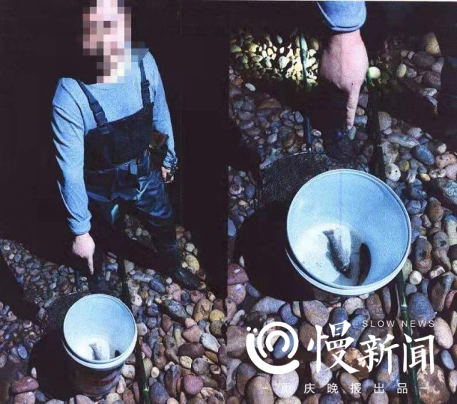 慢新闻 两男子酒后电鱼想“尝鲜”，遇到重庆民警吓得把工具丢江里