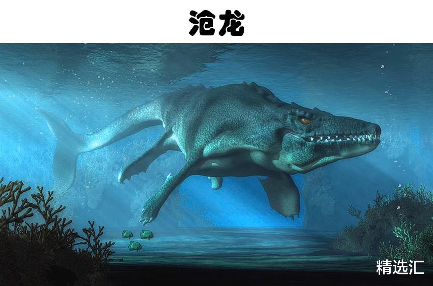 被怀疑依然存活于世界的5大史前动物,大地懒身高可达4米!