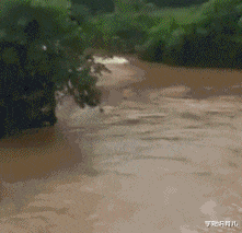 学姐说育儿|\"亲姐弟俩这么做是正常的吗?\"哈哈哈哈哈哈哈