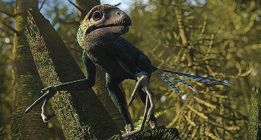 爬行动物|动物进化的10个步骤