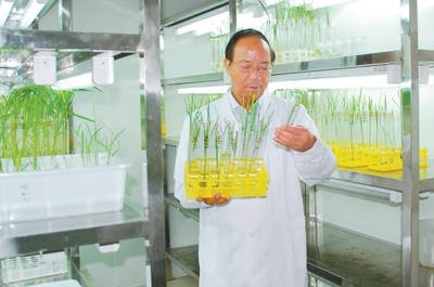 中工网 我的毕生目标是让大家吃得好