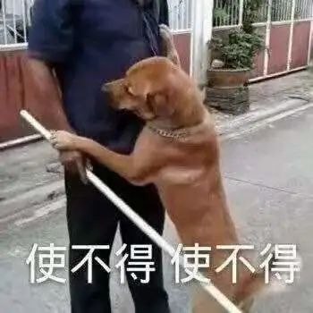 致敬极净环境 洗衣服的时候要放点消毒液吗？点进来