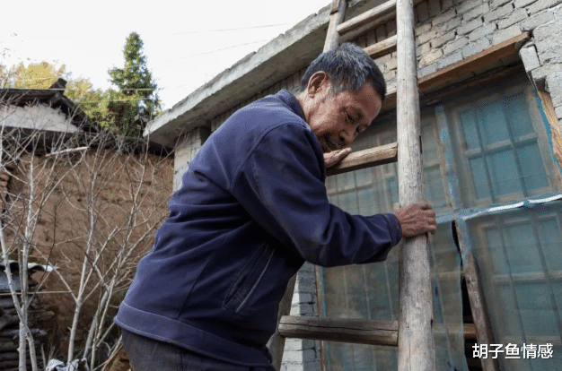 胡子鱼情感|72岁老人倾诉: 跟女儿同住半年后，才真正明白，晚年该去哪里养老