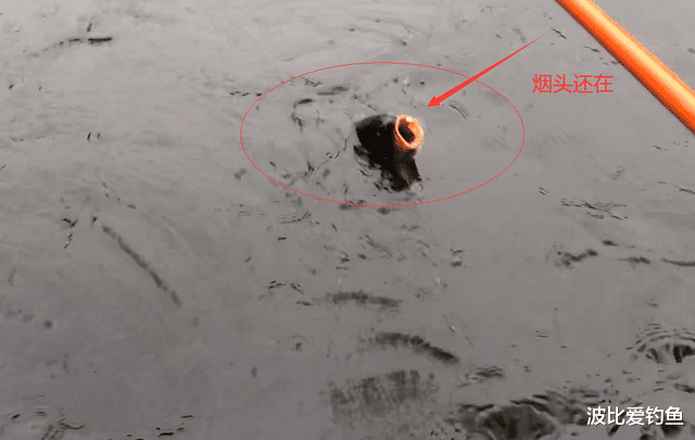 广东省|广东男子用“烟屁股”钓鱼，真有鲤鱼来咬钩，网友：这鱼不能吃
