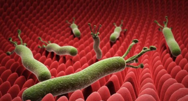 胆囊炎|胃溃疡患者如何预防疾病恶化成胃癌?医生:身体出现3个症状需及时注意