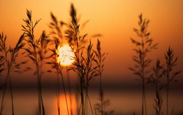 新颖星|为什么善人多磨难？看完了终生受益！