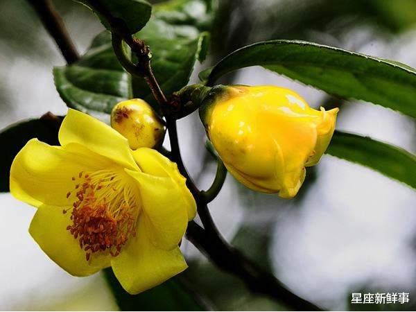 双子座|七月底，请这几个星座做好防范，职场有波动，升职降薪就在一瞬间