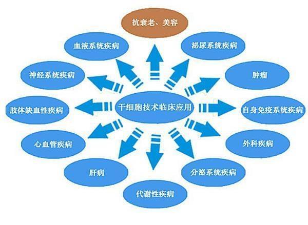 橙子正能量 干细胞有储存有必要吗?