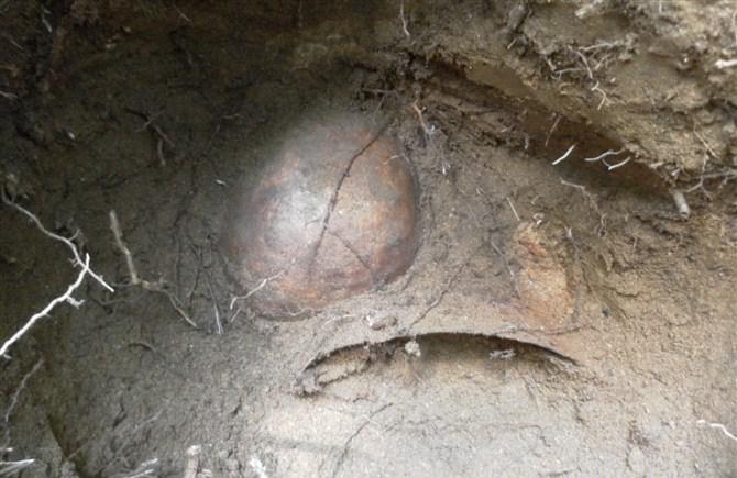 日军|小兴安岭密林中发现侵华日军遗骨,还有身份牌 历史不可否认