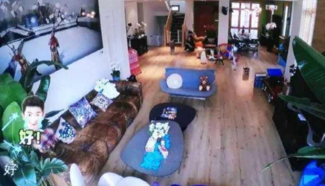 霍思燕|有钱就是豪横！霍思燕被拍用名牌包装爱犬，包包保守估计价值几万