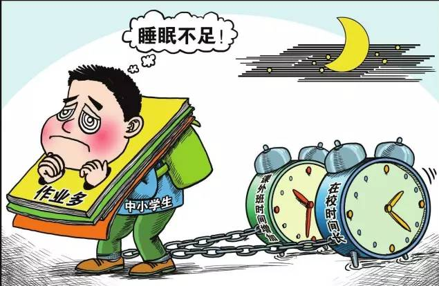 红莲少年|补课班不让办了，担心有钱人选择一对一，看完这些数据您就放心吧