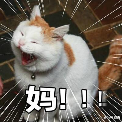 淑的宝麻麻|妈妈和儿子签《不要喊妈》条约,尴尬程度让人脸红,网友:叫阿姨