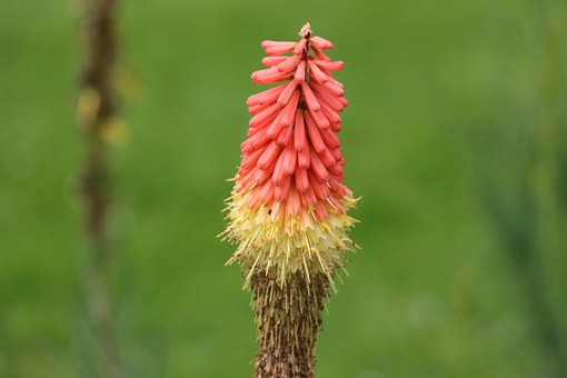 宇录良言|适合发朋友圈的感悟句子，精致深刻，绝对值得一读