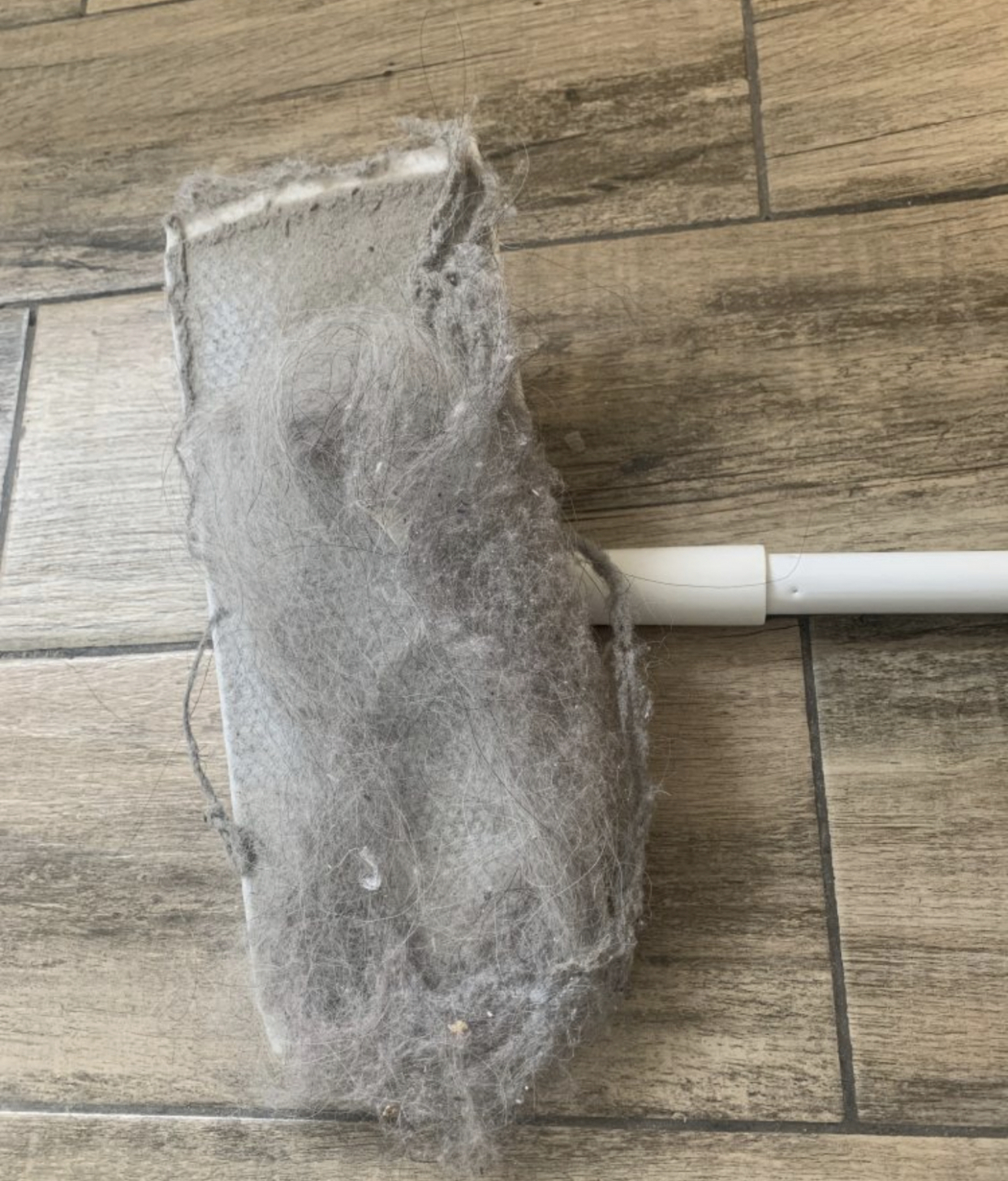 铲屎官|给“铲屎官”们的9条家居装修建议！