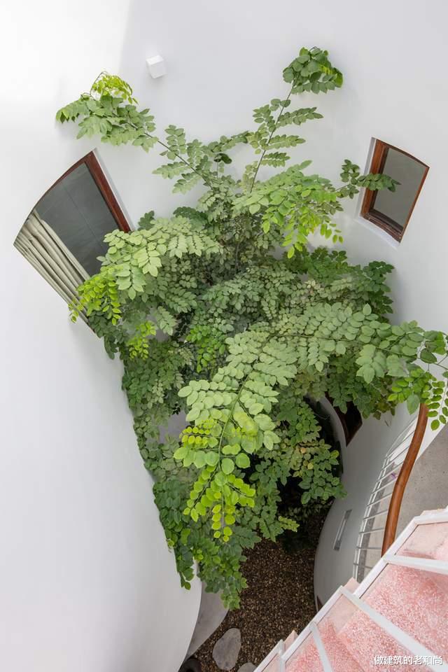 越南女服装设计师的家，当作一件艺术品来设计，空间丰富又有趣