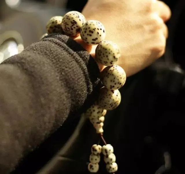 菩提|老玩家：几种菩提籽压根儿就不是用来穿手串的，别露怯！